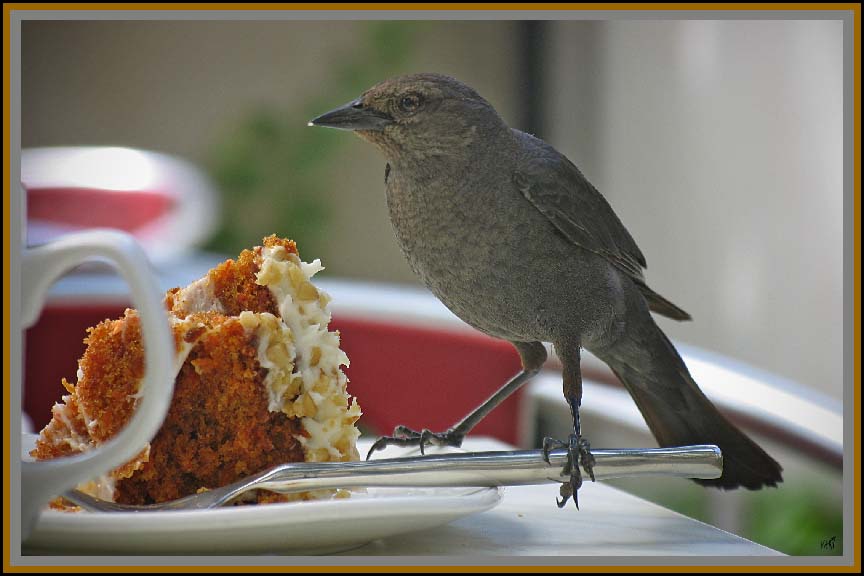 Carrots Cake