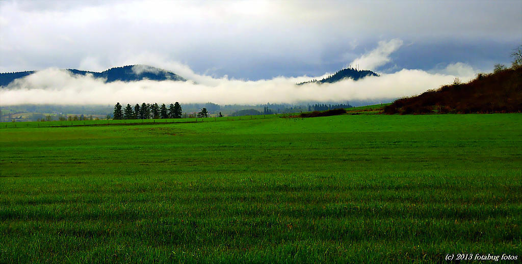 The Verdant Willamette Valley