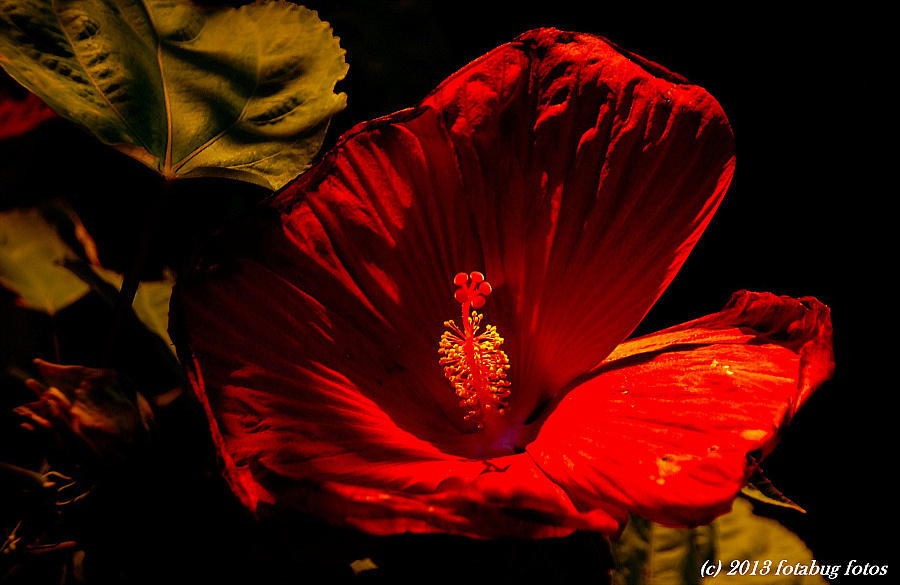 Spotlight On Beauty!