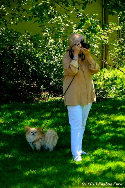 Carol, the Photographer