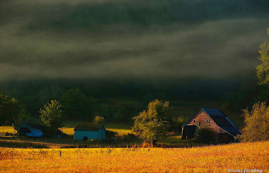 Farm,  Fog and Sun