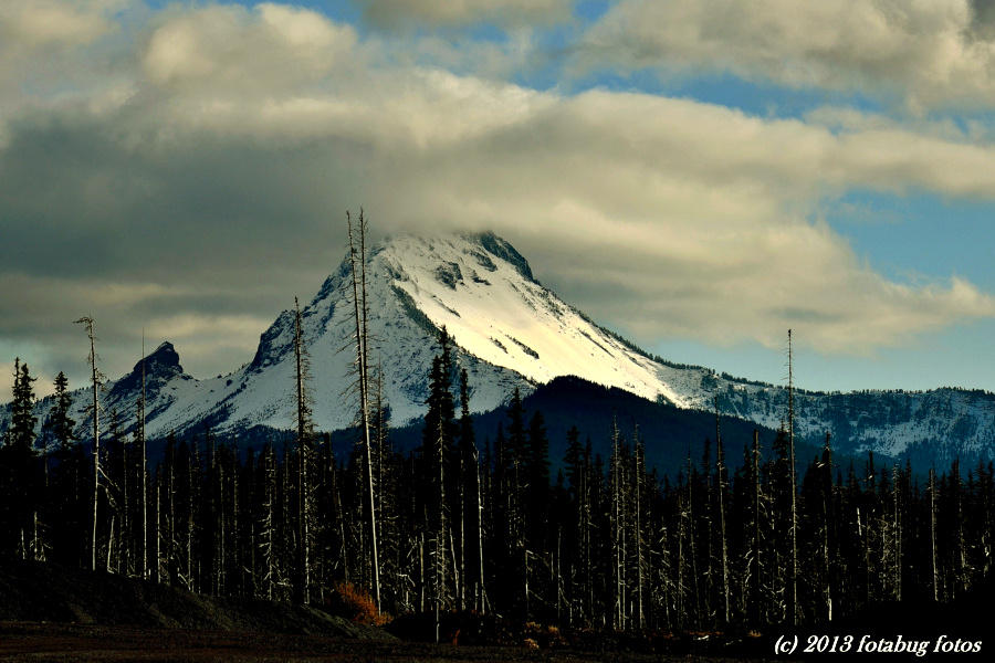 Mt. Washington, Oregon Cascades