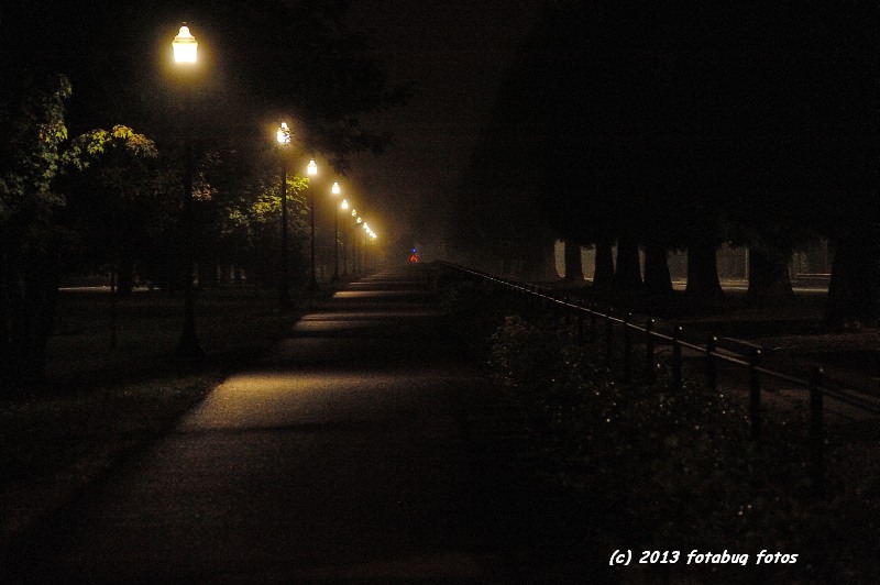 Morning darkness along Pioneer Parkway