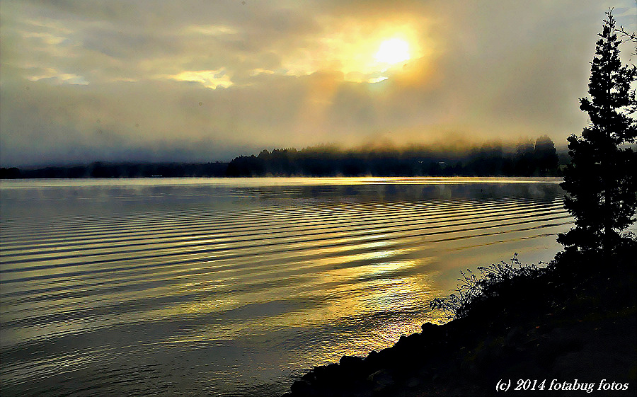 Light on the Lake