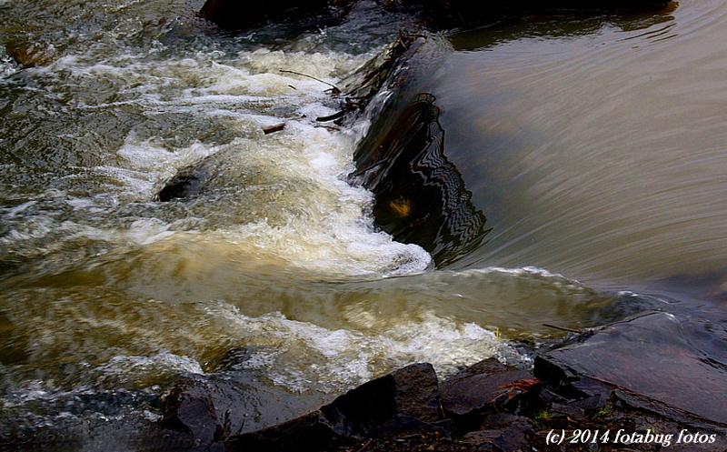 Flow of the Water