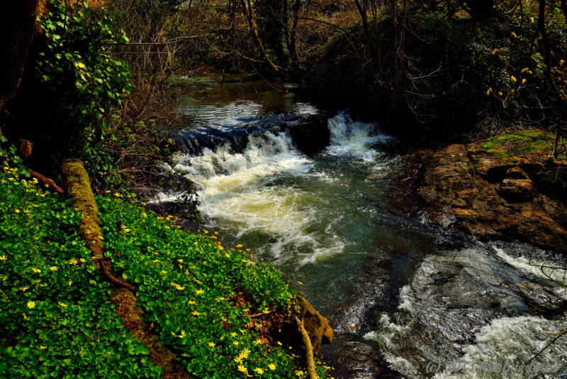 D600-032014-035.jpg