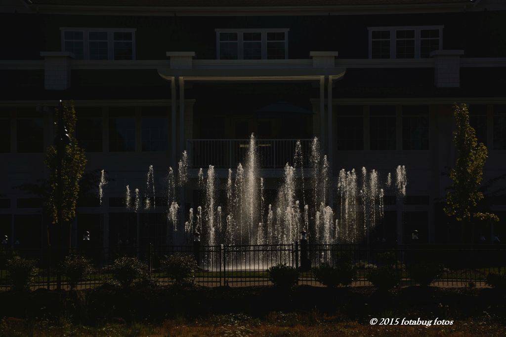 A Cascade of Water