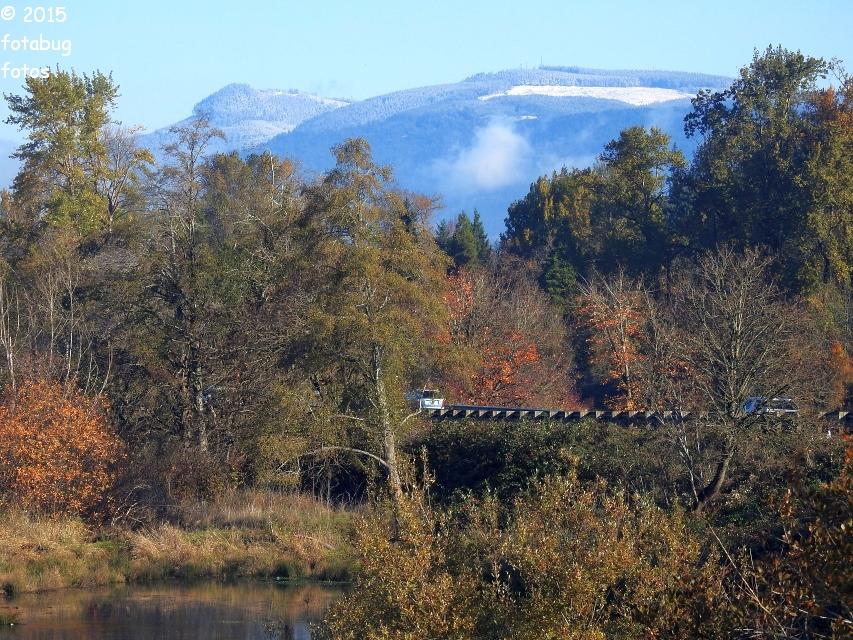 P900-112515-065.JPG