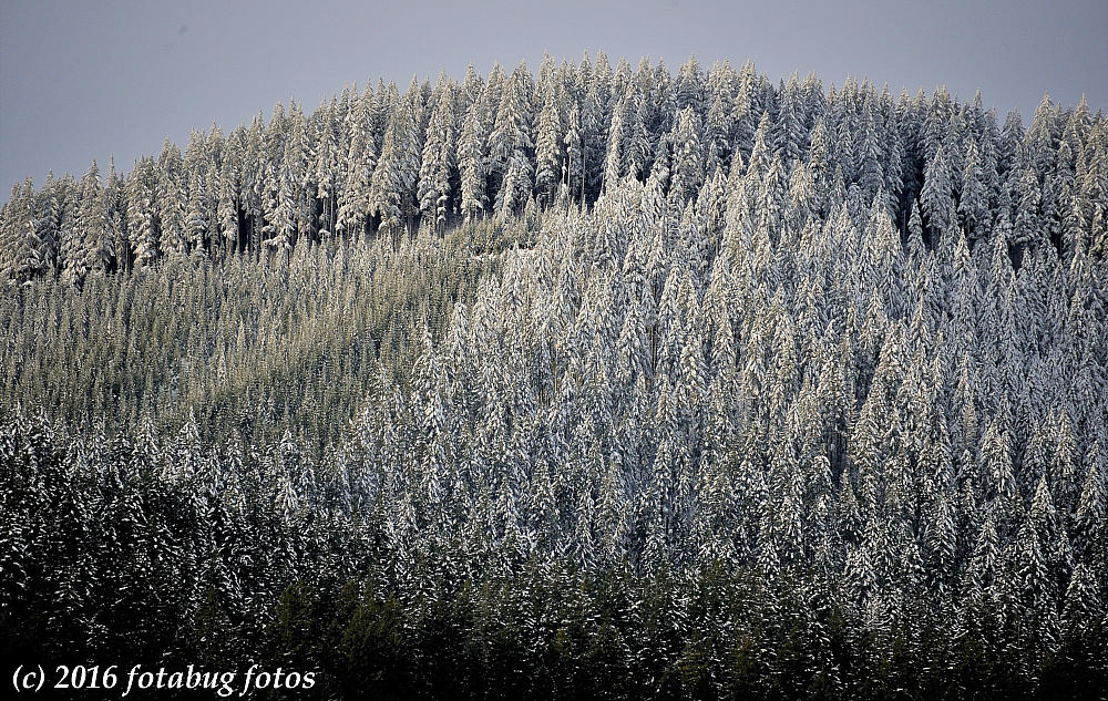 Snow In The Hills