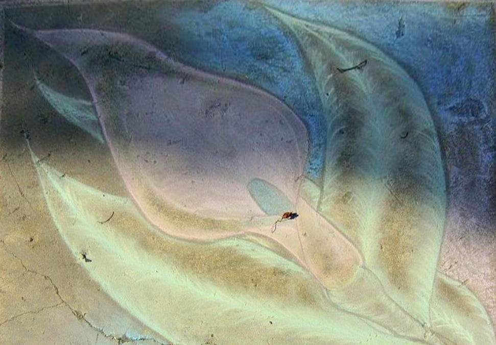 V2-081916-011.JPG