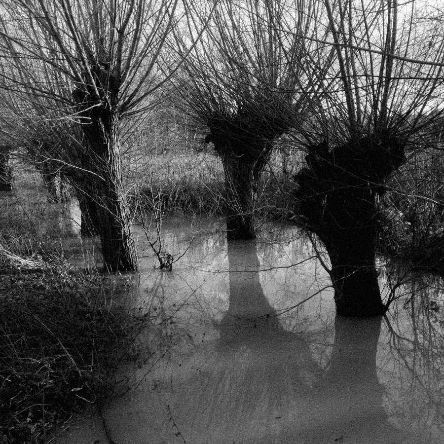 When the hurly-burlys done<br>2 January 2013 (663)