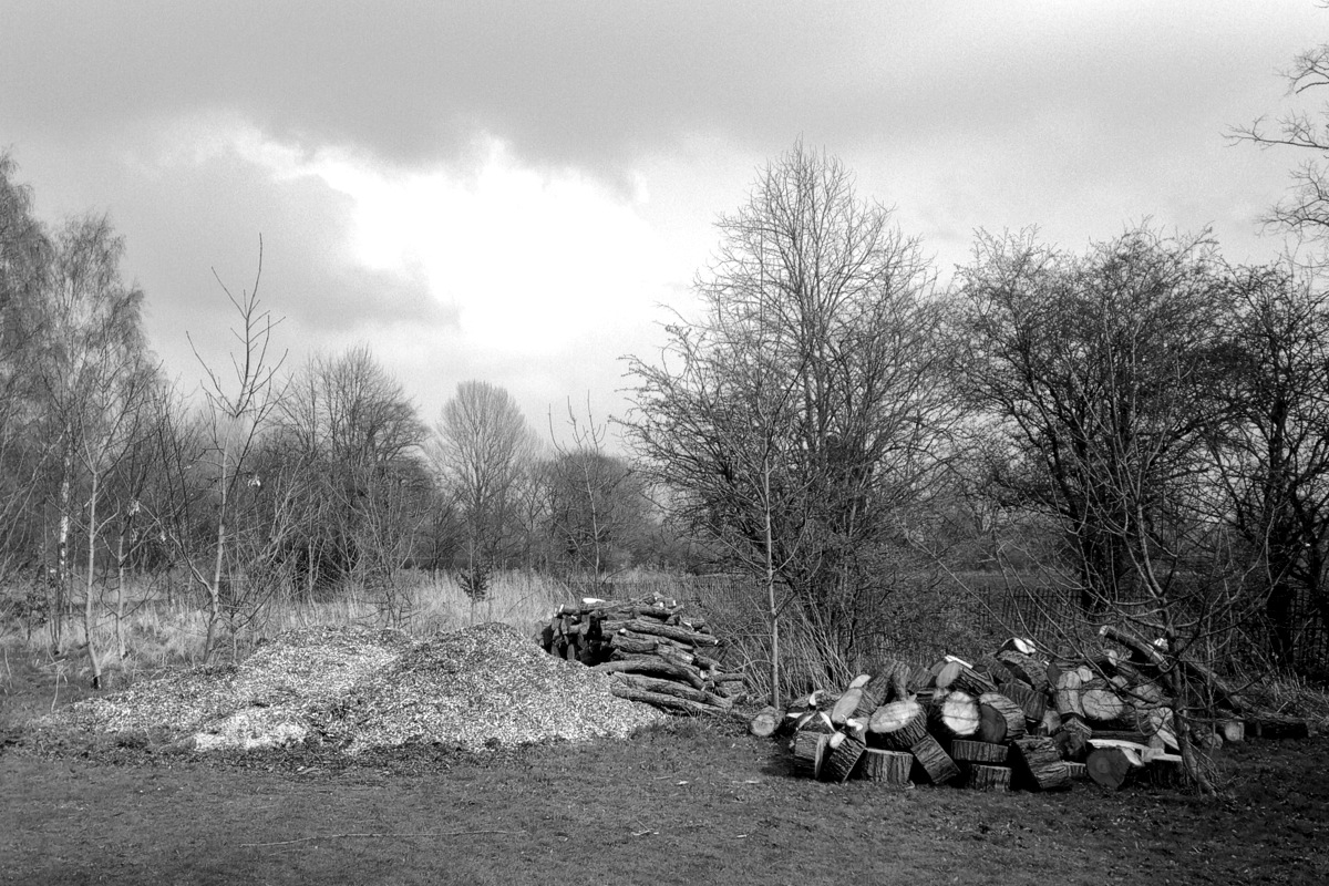 Dead wood