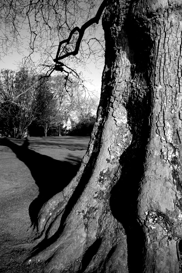 Just his shadow