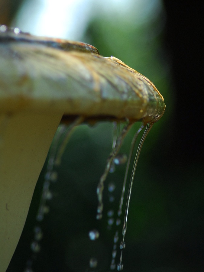 A smaller splash