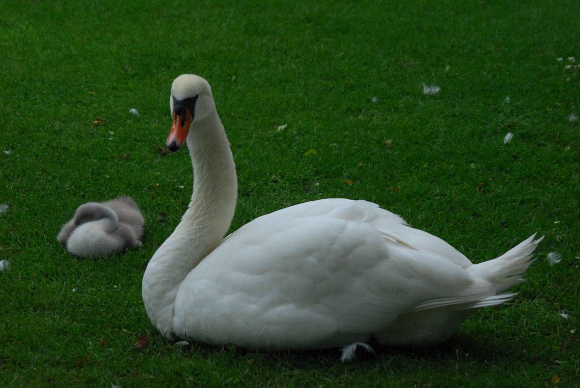Not too close, please!