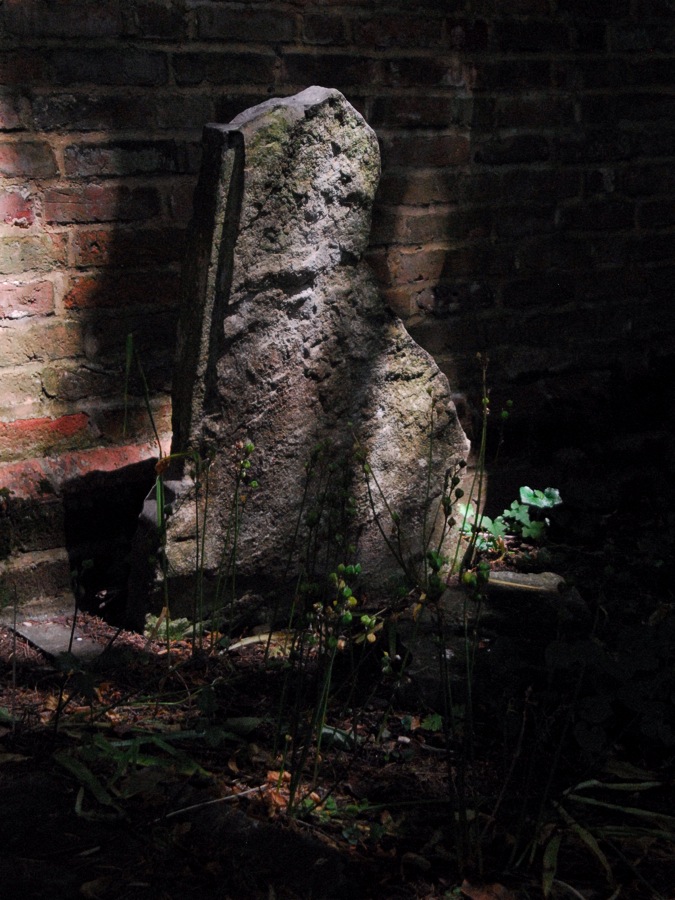 Decay