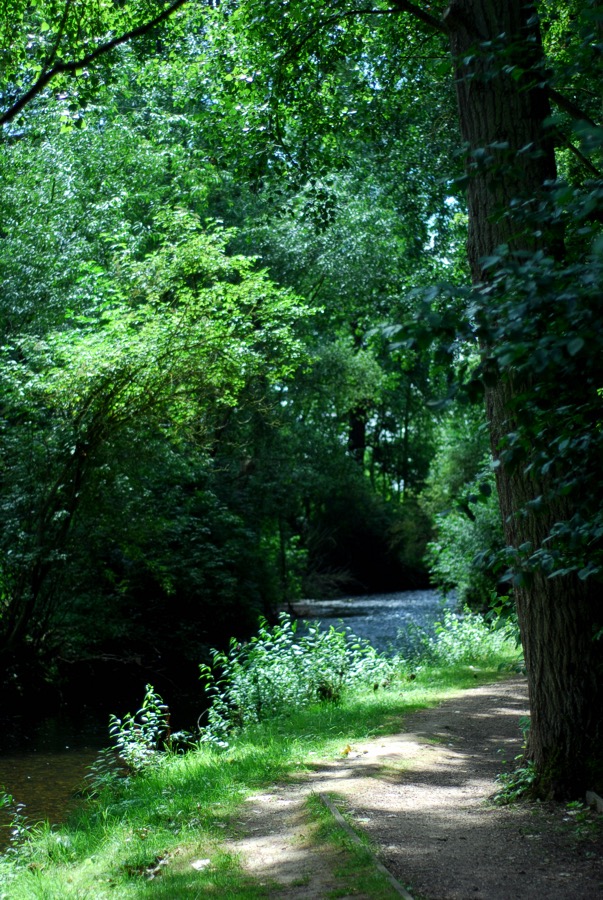 Riverside Walk