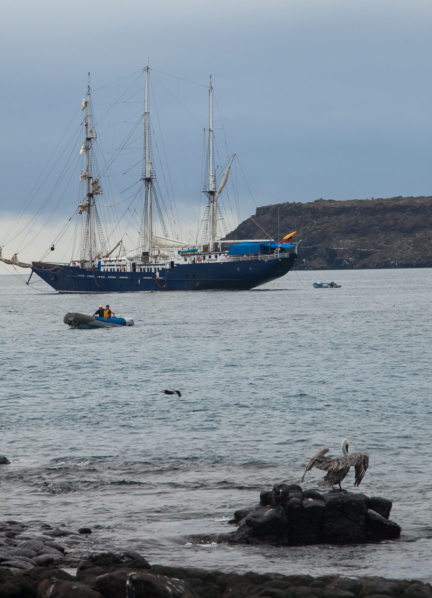 13-05 Galapagos 01.jpg