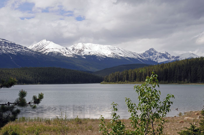 Jasper National Park, 2013