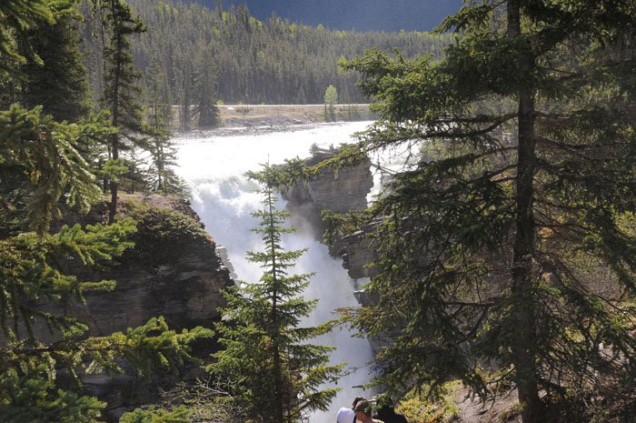 Jasper National Park, 2013