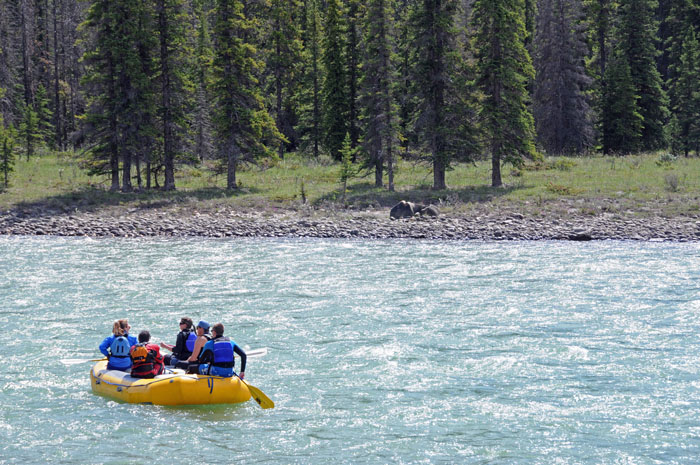 Athabasca River,Jasper NP