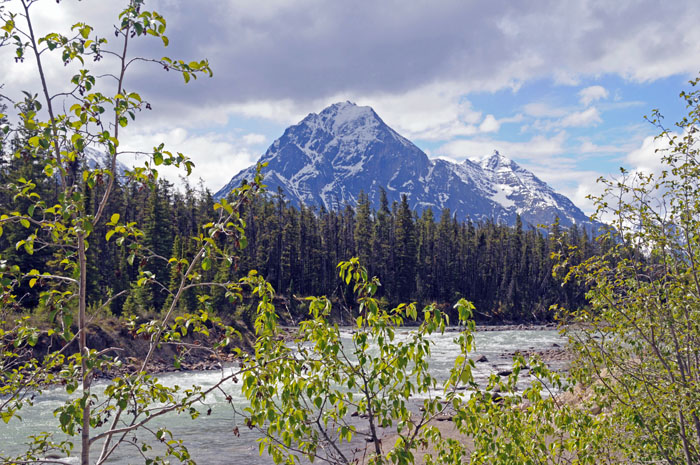 Jasper National Park, 2013