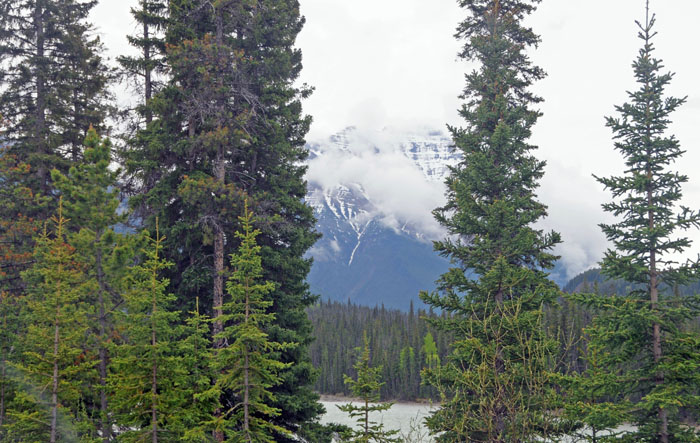 Jasper National Park, 2013