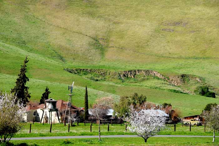 Spring at the retro farm