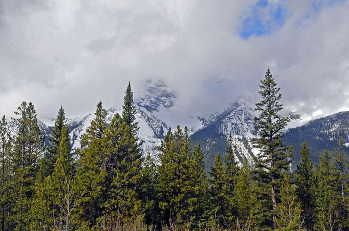 Jasper National Park, 2013