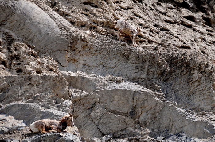 Jasper National Park, 2013