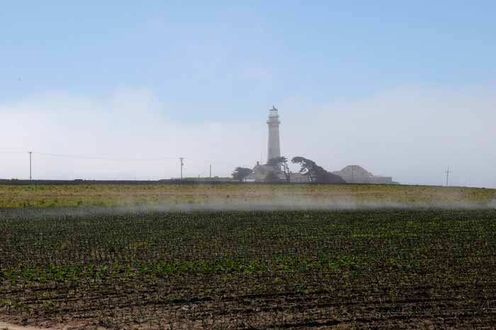 foggy Pacific Coast