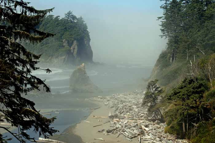 Olympic Peninsula,Washington