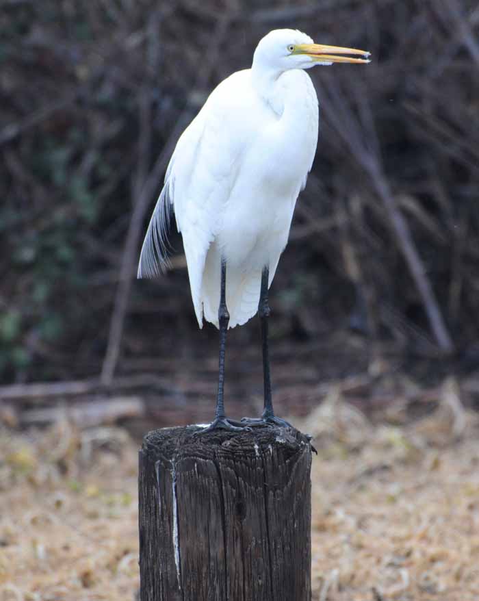 on display