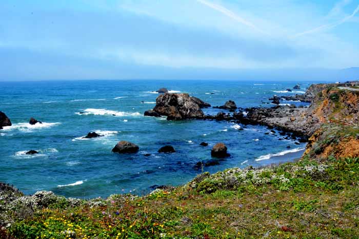 Sonoma Coast