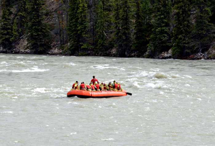 white water,white knucles..Athabasca River,Jasper,NP