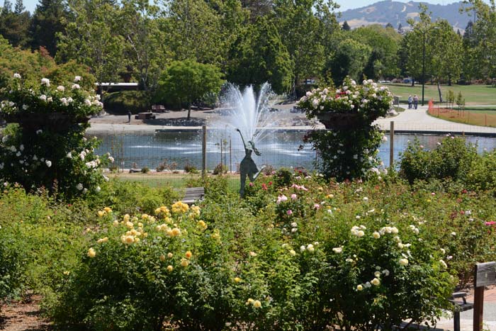 The Gardens at Heather Farm,Walnut Creek,CA