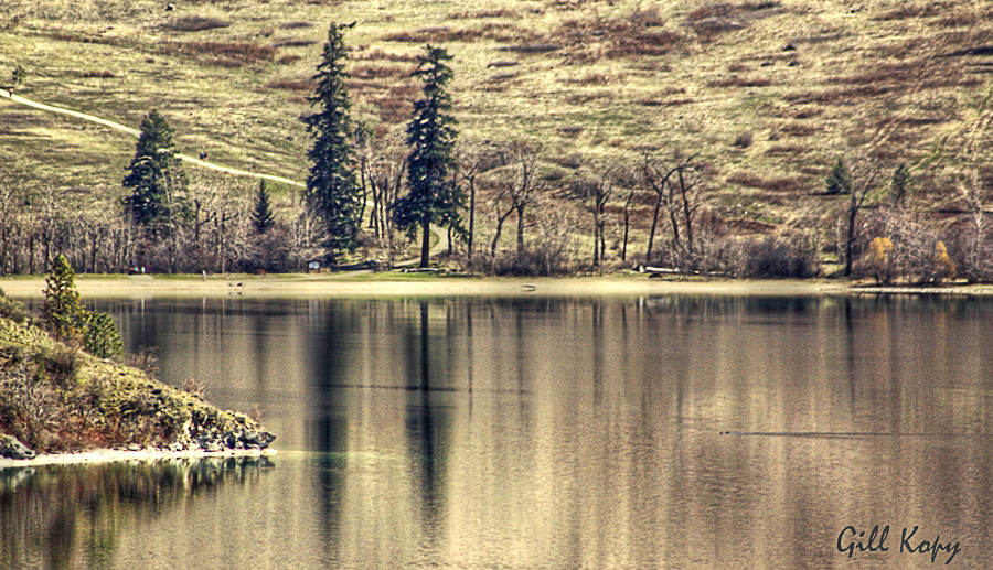 Okanagan reflections.jpg