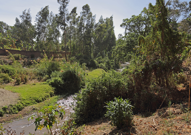 Mbeya School River Garden.jpg