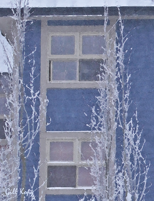 Winter windows.jpg