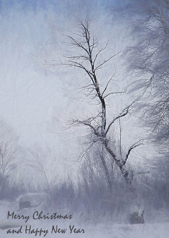 Winter tree4.jpg