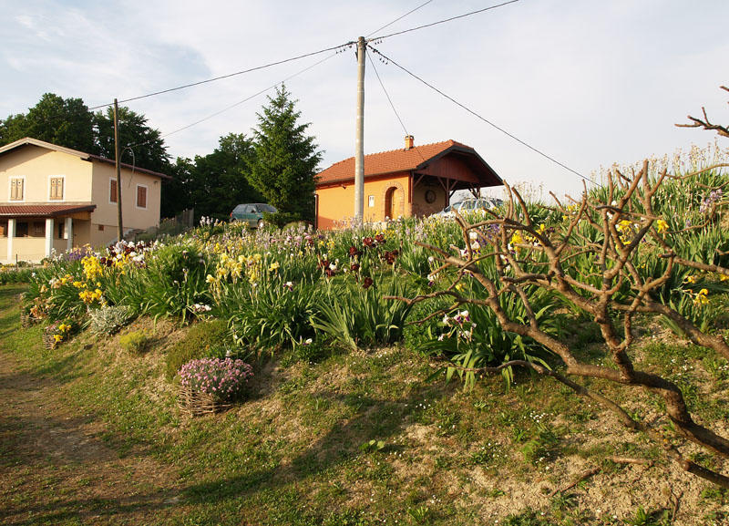 Vrt perunika.jpg