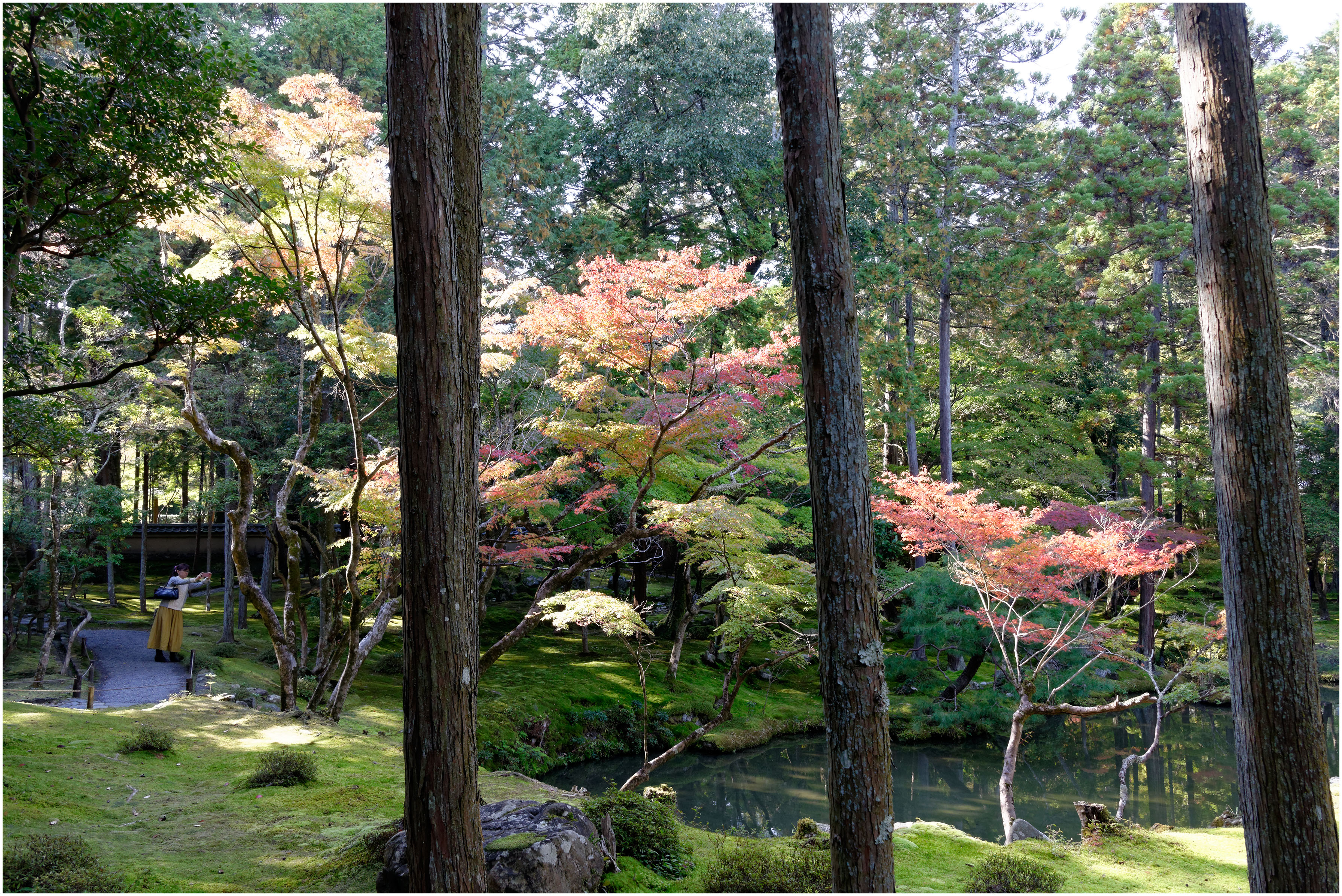 Saihoji Temple (Temple des mousses)