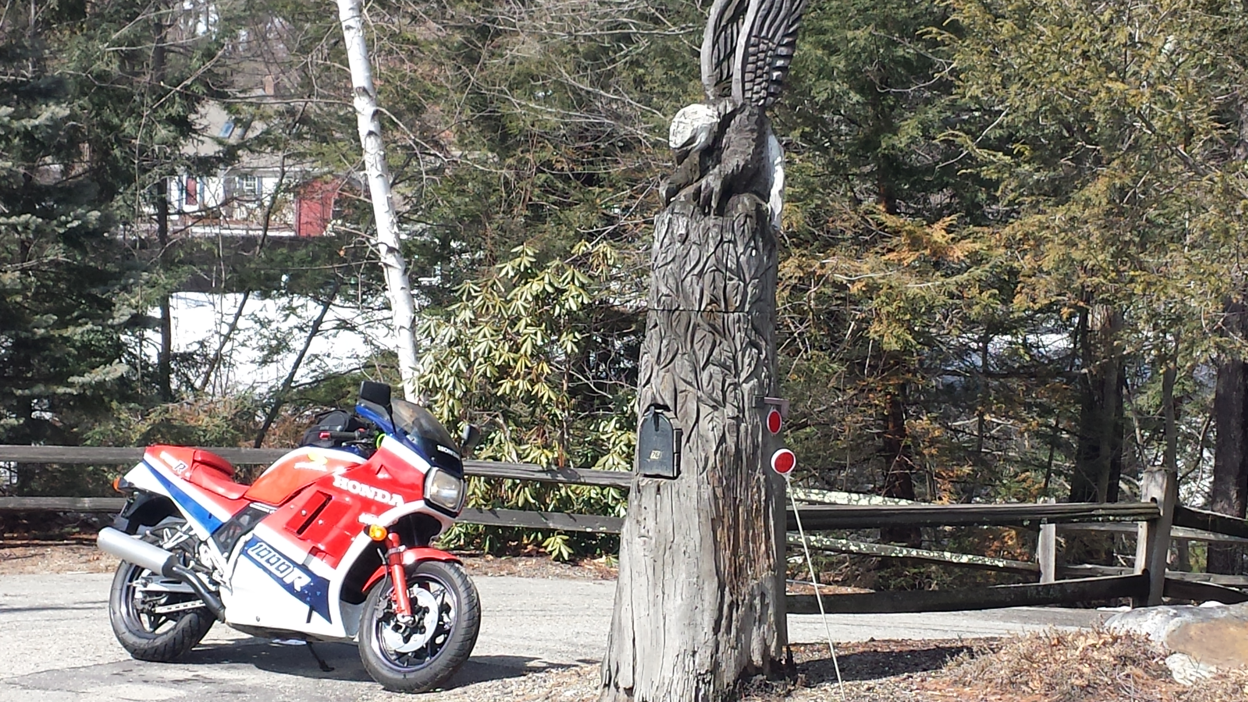 20140320_131121.jpg