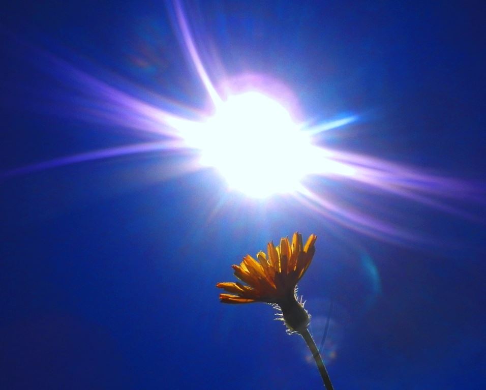 DSCN0261.jpg