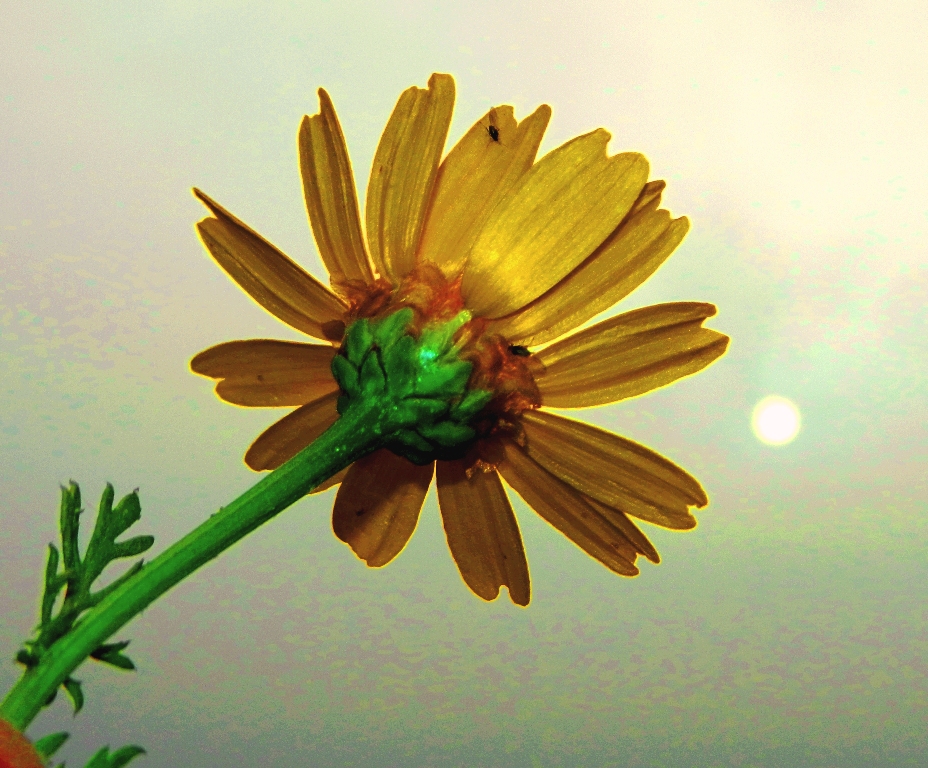 DSCN4212.jpg