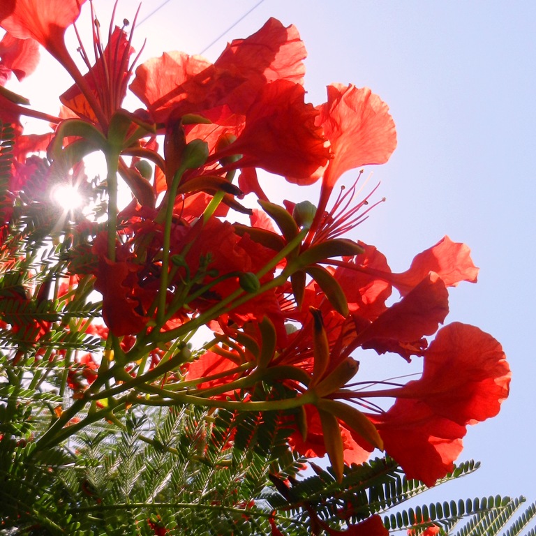 DSCN3372.jpg