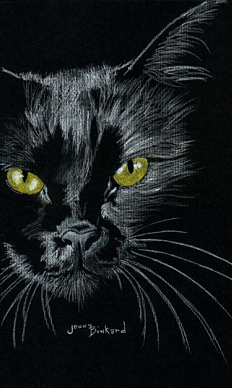 Skipper - charcoal,  8 x 10