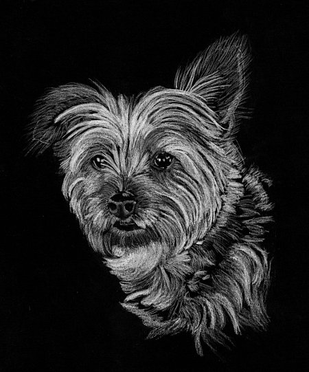 Ernie - charcoal, 8 x 10