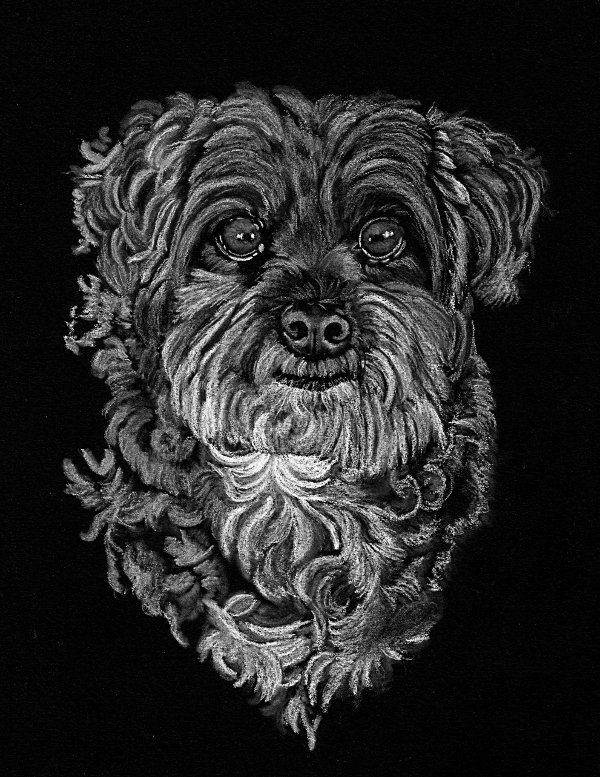 Petie - charcoal, 8 x 10