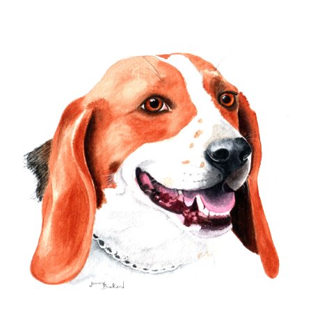 Hank - watercolor, 8 x 10